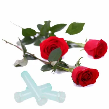 1.8*7.2 cm Florale Tub de Apă de Flori Proaspete de Trandafir Alege Petrecerea de Nunta Cadou Cu Capac Pentru Eveniment Nunta Arte Meserii Flori Artificiale