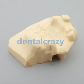 1 buc Dentare, Sinus Lift Practică Dinți Model Typodont Model de Studiu 2013F Modelul instrumente