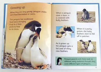 10 Buc/Set Incepatori Animale Engleză Carte Imagine A Lumii Animale Copii Pentru Copii Enciclopedia Animalelor Cărți De Lectură