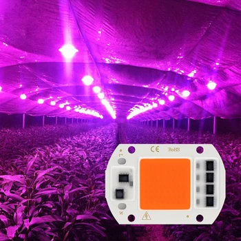 10BUC/Lot ȘTIULETE de Led Cresc Light Chip Spectru Complet 20W 30W 50W 380nm-780nm Fito Lampa 220V Pentru Sere de Flori cu efect de Seră de Plante