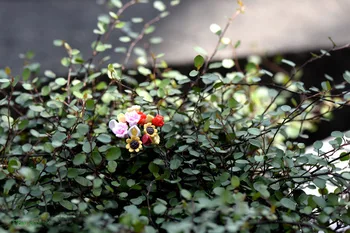 10BUC Zână Peisaj de Grădină Ghivece cu Gazon Micro Miniaturi de Flori Mini Artificiale Miel Sălcii Cifre Meserii DIY Decorare