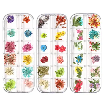 12 Grile/cutie de Moda Japoneză Flori Uscate Decorarea Unghiilor Naturale Florale 3D Autocolant Flori Uscate pentru Unghii Bijuterii Manichiura