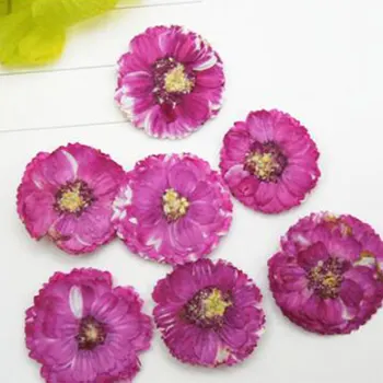 12pcs Flori Uscate Nail Art Decor DIY Naturale Presate Flora Manichiura cu Gel Autocolante de Floarea-soarelui 3D Decor de Unghii Noi