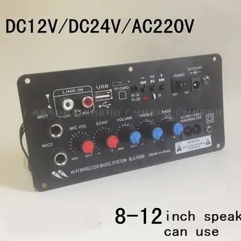 12V 24V 220V Putere amplificator built-in receptor Bluetooth dual microfon reglabil reverberație bord amplificator