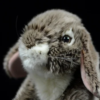 19cm Drăguț Holland Lop Urechi de Iepure Păpuși de Simulare Minunat Brown Bunny Drăguț Animale Moi Umplute Jucărie de Pluș pentru Copii Copii Cadou