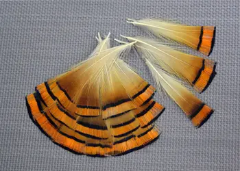 200pcs/lot 4-9cm maro natural real fazanul de aur tippet pene penaj pentru bijuterii accesorii craft face vânzarea în vrac