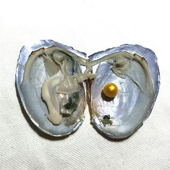 2018 DIY Edison Singur Perle Din Scoici 16 Culori Perle de Stridii cu Perle, Cu Vacuum Ambalare Bijuterii de Lux Cadouri Pentru Femei