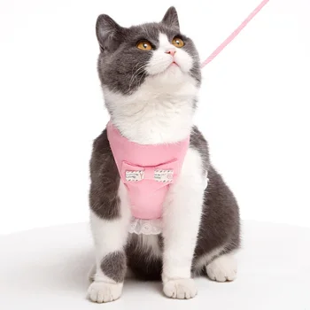 2020 Nou Cat Gulere Monofazate Culoare cu Dantela de Mers pe jos Pisica de Tracțiune Cat Florale Vesta Denim Cat de Tracțiune
