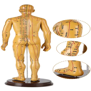 2020 Omului NOU Acupunctura Model Meridian de Acupunctura TCM Corpul de Bronz Medicale Om de predare DIY știință