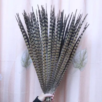20buc 50-55cm foarte lungi naturale fazanul de pene coada din pene pentru haine de acasă decorare masă de nuntă
