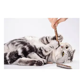 20buc Cat Dintii de Curățare Naturale Pure Catnip Stick Pisica de Companie Molar Pasta de dinti Actinidia Fructe Matatabi Cat Gustări