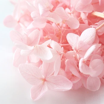 20g de înaltă calitate naturale proaspete hortensie flori uscate capul DIY real veșnică floare material conservarea pe termen lung nu se decoloreaza