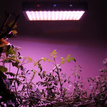 2500W LED-uri Cresc de Lumină întregul Spectru Fitolamp de Creștere a Plantelor Lampa pentru Flori Cresc de Interior Cort de Distribuție/Culoare Switch-uri de Mare Putere
