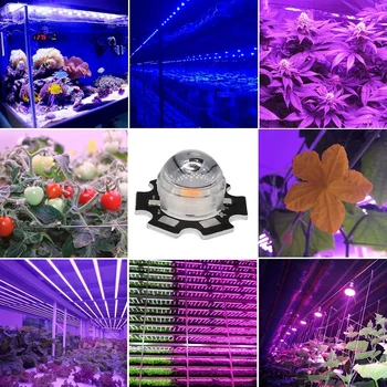 25Pcs ReBlue Fito Lampa Crească Led 3W 5W Lampa Pentru Plante Led-uri Cresc Light 3W 5W Crească Chip DIY Planta Lumina Pentru Plante Răsad de Flori