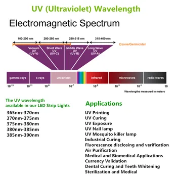 365nm 380nm 395nm UV LED Strip Lumină Neagră Non-rezistent la apa 12V 36W 16.4 FT (5Mtrs) 150LEDs SMD5050 pentru UV răsină