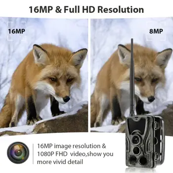 4In1 HC801M HD 1080P Traseu de Vânătoare Camera faunei Sălbatice Camere de Viziune de Noapte 2.0 Inch 0,3 secunde Timpul de Declanșare 2G GSM Foto 16M Pixeli