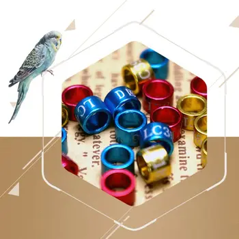 50 Buc Mix De Culoare Porumbel Picior De Pasăre Porumbel, Pasăre, Papagal Clip Inele Band Inel De Picior De Porumbel Consumabile Pasăre Aparate Porumbeilor Semn