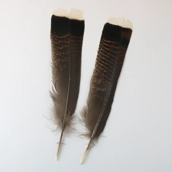 50 Buc Naturale Vultur Pene de Păsări Pentru Meserii de 25-30cm/10-12 țoli Selectate de Prim Calitate Pene de Vultur Bijuterii Diy Decorare
