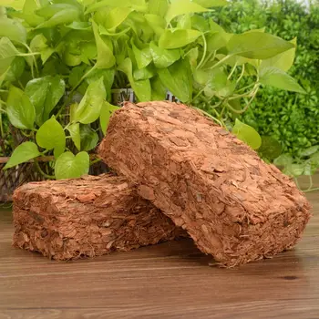 500g de nucă de Cocos nucă de Cocos Caramida Turbă Creștere Organică Culturile Ghiveci de Gradina Plante Naturale a Solului cu Nutrienți Pat