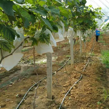 50pcs/set Plante de Fructe Pungă de Protecție Anti Pasăre Cordon Sac Net Agricultură Controlul Dăunătorilor Instrument Preveni Fructe de Arbore de Tantari