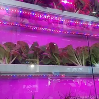 5M 12V LED de Plante Cresc Benzi de Lumină întregul Spectru de Creație Funie de Lumină, pentru Cultivarea de Legume Horticultură Industriale Răsad