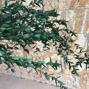 80g/Pachet Real Uscate Naturale Proaspete pentru Totdeauna Conservate Bine de Frunze de Eucalipt Ramură,Decorative Veșnică Frunze de Eucalipt Garland