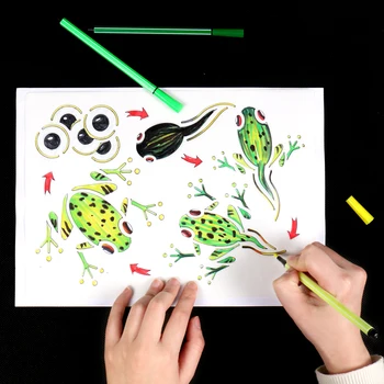 8pcs Animale și insecte de Creștere a Ciclului de Viață de Învățare Montessori de Învățământ din Plastic Desen Pictura Șabloane Jucării pentru copii