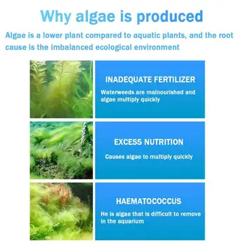 Algicid Acvatice Control Alge Detergent de Purificare a Apei de Acvariu Accesorii для аквариума Acvariu Curat Acvariu