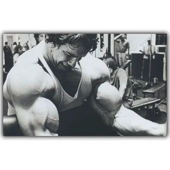 Arnold Schwarzenegger Culturism Motivaționale Matase Arta Poster de Imprimare de Fitness Imagine de Inspiratie pentru Camera Decor de Perete