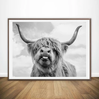 Arta de perete Imagini Libertatea Highland Gri Corn de Vacă de Imprimare și Poster Bovine Panza Tablouri de Arta de Perete Living Modular Decor