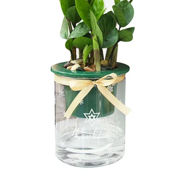 Auto-Udare Plantat Ghivece Mini Design Rotund Plante Suculente Oală Interioară, Grădină Acasă Decorative Moderne