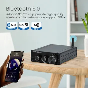BRZHIFI HIFI TPA3116 Amplificator de 100W*2 CSR8675 Bluetooth 5.0 APTX TPA3116x2 Stereo 2.0/ 2.1 Canal Subwoofer Amplificator Audio