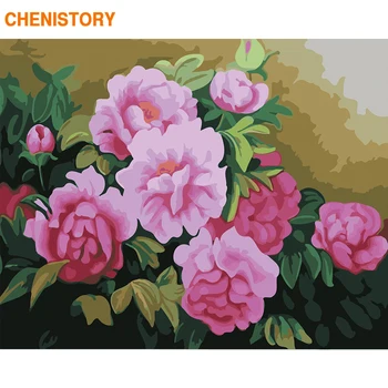 CHENISTORY Cadru de Flori de BRICOLAJ, Pictura De Numere Modern, Vopsea pe bază de Acril De Numere Handpainted Pentru Home Decor de Perete de Artă