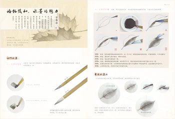 Chineză gongbi Schiță tutorial de carte de la intrarea la competenți FeiYueNiao 2017 nou pictura Chineză artă, carte pentru incepatori