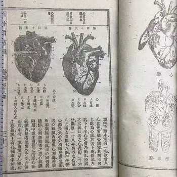 Chininese vechi de Medicina Tradițională Chineză boli cartea de 9 set