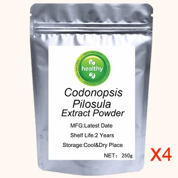 Codonopsis Pilosula Pulbere Extract Organic Codonopsis Rădăcină Codonopsis Lanceolate DANG SHEN