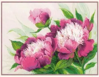 Colecția De Aur A Numărat Goblen Kit Bujori Roz Bujor Floare Flori 100-039