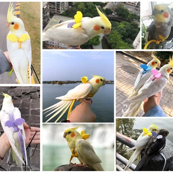 Consumabile Pentru Animale De Companie În Aer Liber Zbor Portabil Papagal Lesa Pasăre Cablajului De Formare Coarda De Lungime Reglabilă Lumină Ultra Flexibil, Cu Catarama
