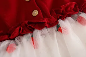 Copil Haine Pentru Copii Nou-Născuți Botez Rochie Pentru Fete De Îmbrăcăminte Capsuni Broderie Princess Party De Crăciun Botez Rochii