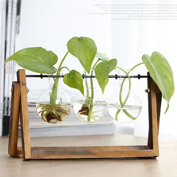 Creative vaza de plante de sticlă hidroponice recipient ferma decorative, vaze, decoratiuni de acasă