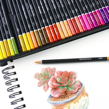 Creion colorat Set Profesional de Artă 72/120 Incepatori Mână-Pictat Gras de Culoare Plumb Logo-ul Personalizat de Fier Cutie de creioane colorate drăguț