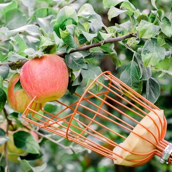 Culegător De Fructe De Sârmă Selector Convenabil Culegător De Fructe De Grădinărit Piersic Cules De Instrument
