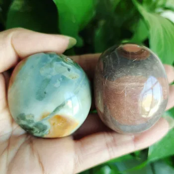 De mare naturală piatra Marin palma de vindecare cristale Decorative de colectare pietre și cristale