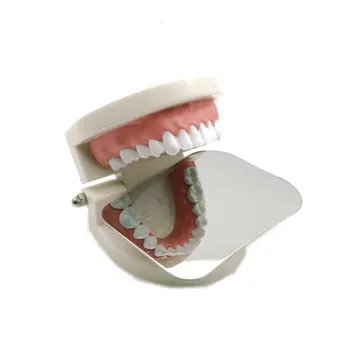 Dentare Ortodontice Oglindă Reflector Fotografice Din Oțel Inoxidabil Occusal Adult A2
