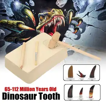 Dinte de dinozaur Excava DIY Fosile Jucării, Unelte de Piatră Kit de Copii de Învățare Jucarii Educative Spinosaurus Tyrannosaurus Set