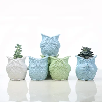 DIY Ceramice Glazurate Bufnita Ghiveci Gratuit Combinație Alb-Albastru Ghiveci Ghiveci Verde Suculente Plante Desktop Vase de Gradina