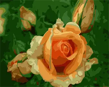DRAWJOY Încadrată de BRICOLAJ, Pictura De Numere de Flori DIY Digital pe Panza Pictura in Ulei Home Decor Pentru Camera de zi de Perete de Arta