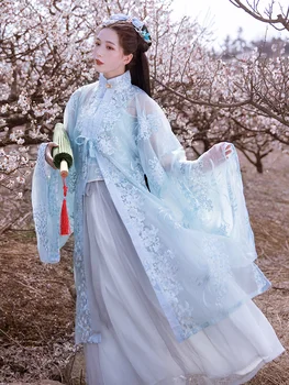 Elegant Vechi Hanfu Rochie De Printesa Tang Dynasty Dansuri Populare Costume Tradiționale, Dans Chinez Tang Costum De Performanță Îmbrăcăminte