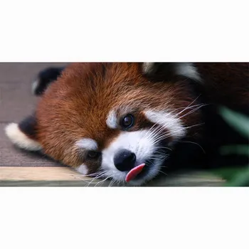 Fierbinte 70x140cm Red Panda Mare Prosop de Baie Rapid-Uscat Bambus Microfibra Plajă, Înot Călătorie Camping Prosoape Moi Toalla de bano
