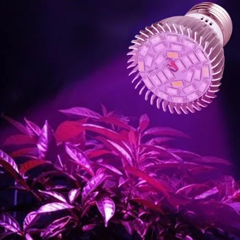 Foxanon Spectru Complet E27 SMD5730 LED-uri Cresc Lumini 220V 110V Plante de Interior Cresc Lampa pentru Medicinale, Legume, Sere de Flori